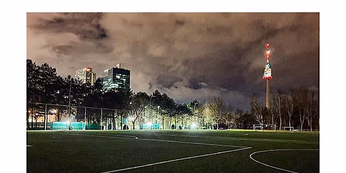 FRIENDLY FOOTBALL FESTIVAL 7v7 Tourney  with 4 Teams