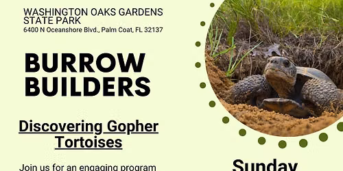 Burrow Builders-Discovering Gopher Tortoises