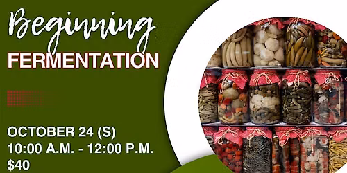 Beginning Fermentation