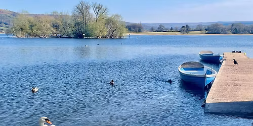  Llangorse Lake Hike: Bannau Brycheiniog (Brecon Beacons)