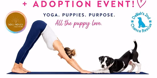 Puppy Yoga + Adoption Event Benefiting Delilah's 2nd Chance Rescue at Soul Moves