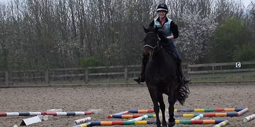 Ashley Suddes Pole work and Cavaletti clinic