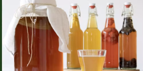 Kombucha Workshop