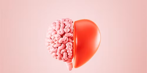 The Science of Attraction Quiz