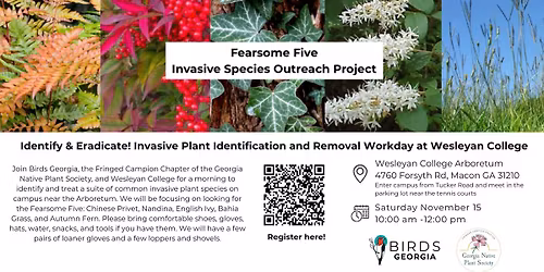 Identify & Eradicate! Invasive Plant Identification and Removal Workday at Wesleyan Arboretum