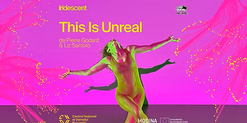 This is Unreal | Pierre Godard \u0219i Liz Santoro [FR\/US]