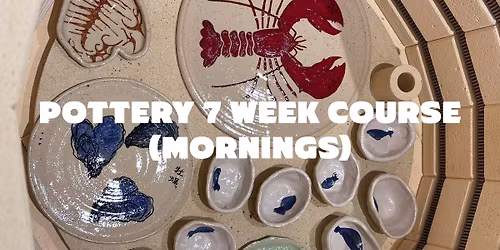 Morning Pottery 7 Week Course (Weds)
