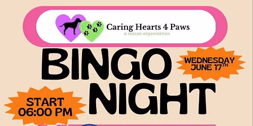 Bingo Night Fundraiser