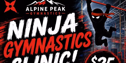 Ninja Gymnastics Clinic 