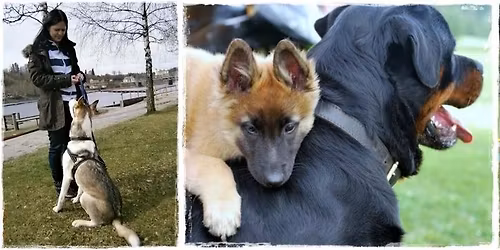 Kveldsstevne i rally - Klasse 1 og 2