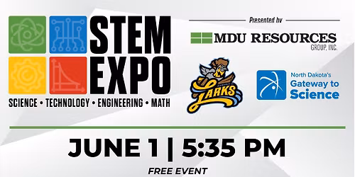 STEM At The Ballpark