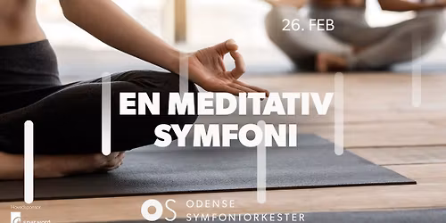 EN MEDITATIV SYMFONI UD MED STOLE OG STRESS \u2013 IND MED YOGAM\u00c5TTER OG PLADS