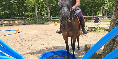 LCRVHC Obstacles & Your Horse Clinic with Kristin Elliott Leas