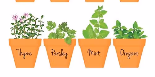 Inclusive Pizza Herb Pot Workshop