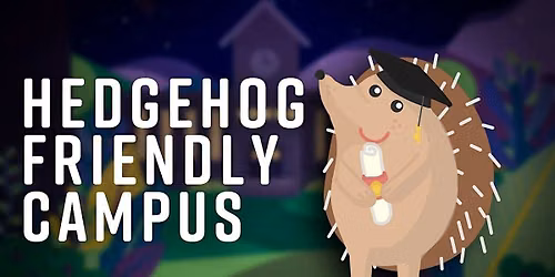 Hedgehog Friendly litter picks