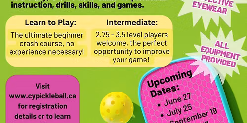 Learn to Play Pickleball