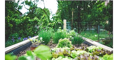 Frederick County Master Gardeners: So You Think You Want a Veggie Garden?