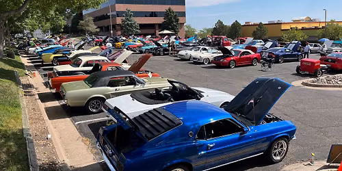 50th Annual Car Showing