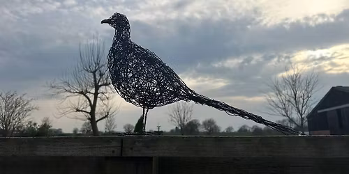 Wire Pheasant Workshop with Sara 