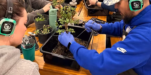 Specialty Bonsai Workshop, Freeport (Pomegranate)