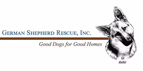 VGSR Rescue Event- PetSmart, Tysons Corner