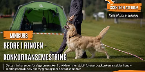 Bedre i ringen - konkurransemestring