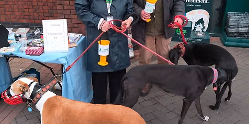 Raising awareness of greyhounds as pets