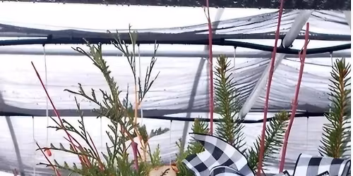 Holiday Porch Pot at Shakopee American Legion Post 2