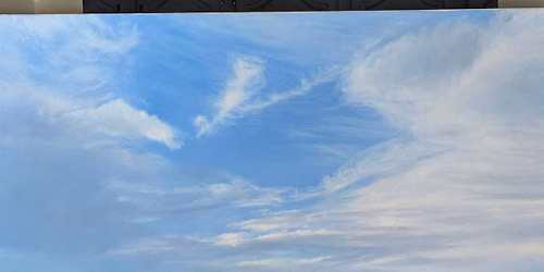 The Art League Gallery: June Opening Reception