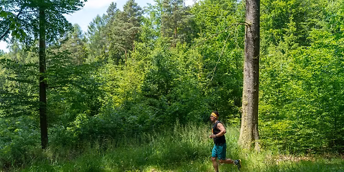 B\u011b\u017eeck\u00fd z\u00e1vod Pivo\u0148\u016fv b\u011bh - 6. ro\u010dn\u00edk