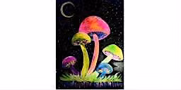 Midnight Mushroom Wednesday July 22nd 6:30pm $35