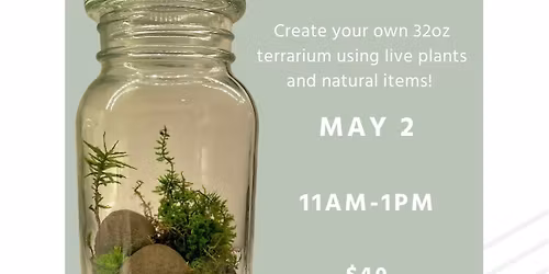 Make Your Own Terrarium