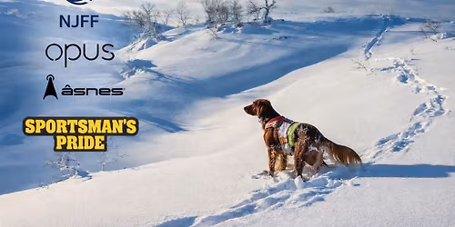 GAULARFJELL II CACIT 17.04 - 19.04 