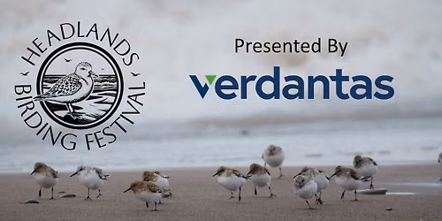 2026 Headlands Birding Festival