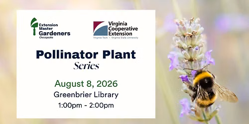 Pollinator Plant Series 2026