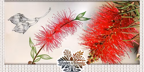 Terra Australis Nature Journaling \u2744\ufe0f Creative Workshops \u2744\ufe0f