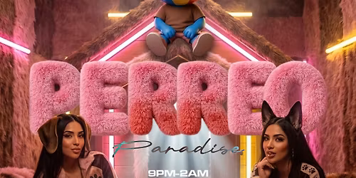 PERREO Paradise\ud83c\udf34\ud83e\ude77