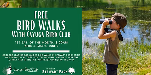 Free Bird Walks with Cayuga Bird Club