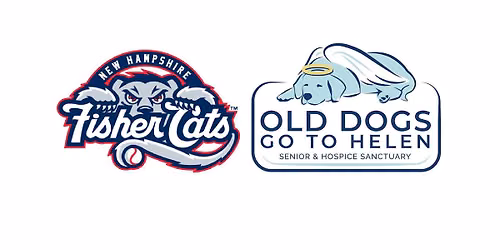 Waggin Wednesday- Fisher Cats vs. Portland Sea Dogs 