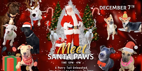 FFR's Annual Santa Paws Photos DAY 2