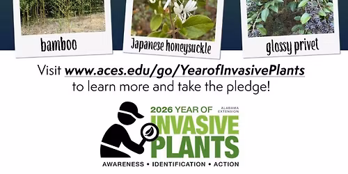 NightVision Festival: Jeremy Camp - Saturday