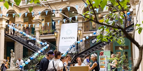 Tucatnyi t\u00f6rt\u00e9net \u2013 12 \u00e9ves a Paloma