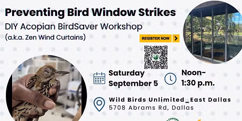 Preventing Bird Window Strikes Workshop