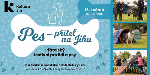 PES P\u0158\u00cdTEL NA JIHU