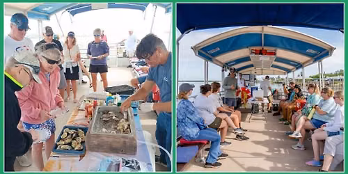 IROC OYSTER - Saturday July 25th 2:00pm