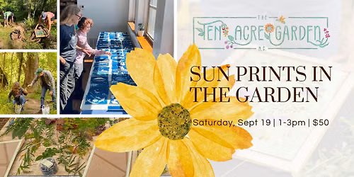 Sun Prints in the Garden