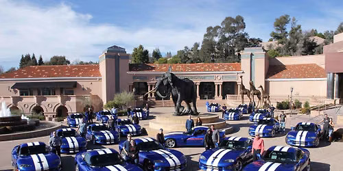 NorCal Viper Club Car Show