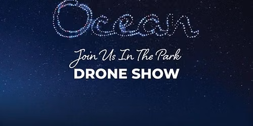 Drone Shows