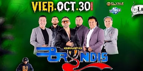 GRUPO BRYNDIS