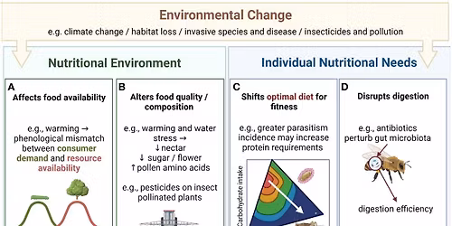 Weval with DJ Carbo (18+)
